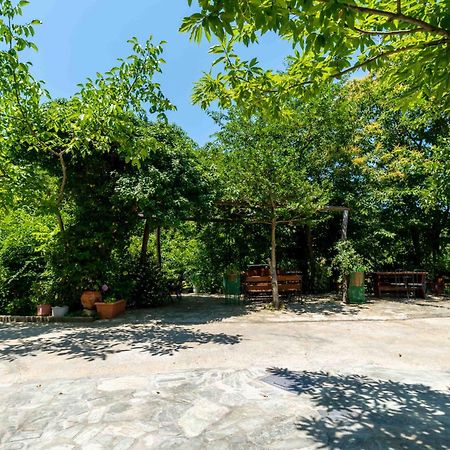 Guesthouse Papachristou ซาการาดา ภายนอก รูปภาพ